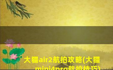 大疆air2航拍攻略(大疆mini4pro航拍技巧)