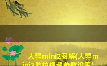 大疆mini2图解(大疆mini2航拍视频参数设置)